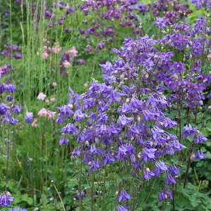 Einweihungsfeier Kapelle Alberer