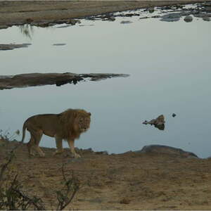 Namibia - im 'Land der Himba'