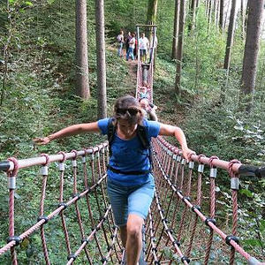 Naturerlebnisweg Pfarrwald Vöcklabruck