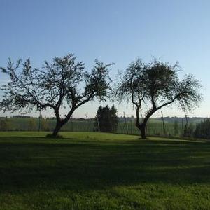 Wallfahrt Maria Bründl