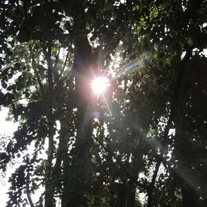 Ökum. Pilgerwanderung