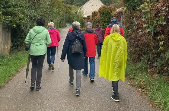 Wallfahrer:innengruppe / © Diözese Linz /Fachstelle Altenpastoral Das war die 50. Senior:innen-Wallfahrt auf den Linzer Pöstlingberg