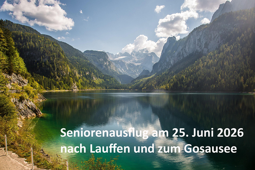 Blick auf den Gosausee