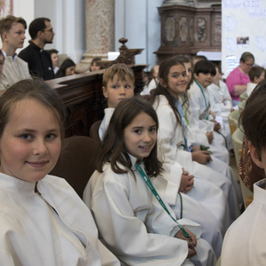 Minis in St. Florian