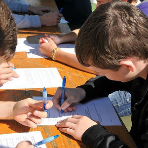 Firmprojekt Hochbeet