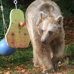 Wallfahrt Schönbach