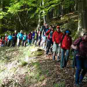 meditative Pilgerwanderung 28.4.18