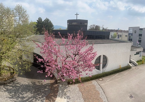 Kirchengebäude Urfahr-St. Markus / Rémy Remus Nduwayo Kirchengebäude von außen mit blühendem Zierkirchenbaum