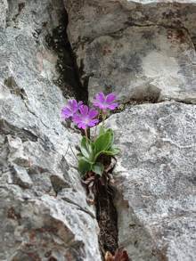 Mitarbeiter Jahresabschluss