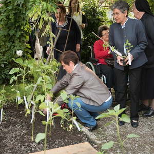 Pflanzaktion 'Beet der Lebensfreude' im Klostergarten