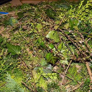 mit Erstkommunionmüttern und -kindern