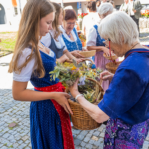 Kräuter zu Maria Himmelfahrtwerden beim Gottesdienst gesegnet und anschließend verteilt. In Kirchdorf an der Krems banden Frauen und Männer der Trachtengruppe über 300 Büscherl.