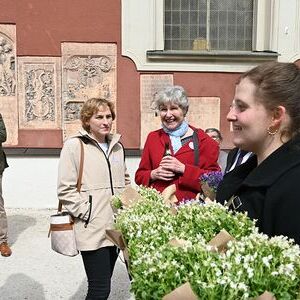 Pfarre Ried im Innkreis