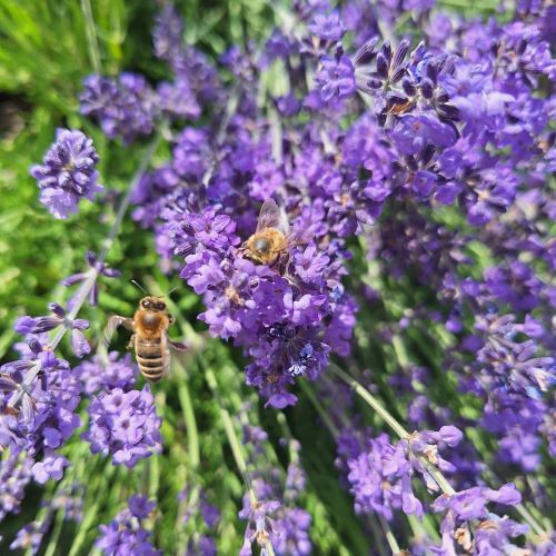 Fachausschuss KBW Steyregg