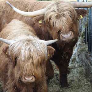 meditative Pilgerwanderung 28.4.18