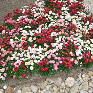 900 Jahre Klosterneuburg