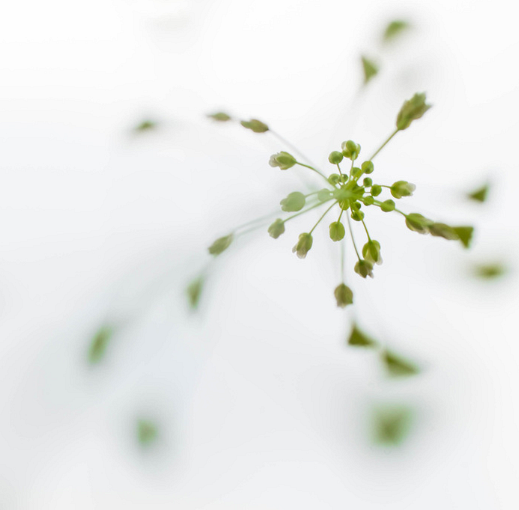 Dachtagung: Spiritualität in einer verletzten Welt