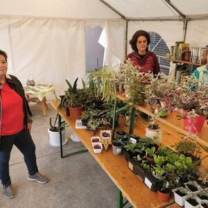 Die Pflanzen stehen bereit, betreut von Brigitte, Daniela & Anni.