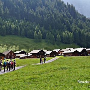 Vorarlbergreise der Kokuwawis