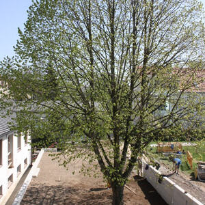 Neugestalteter Kirchenplatz 