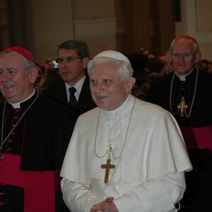 Rom - Christbaum für Papst