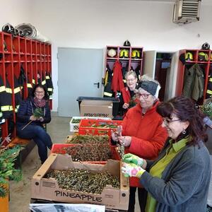 Palmbuschen binden 2023