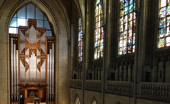 Blick auf die Rudigierorgel