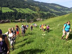 Bergauf / © Bibelwerk Linz Bergauf