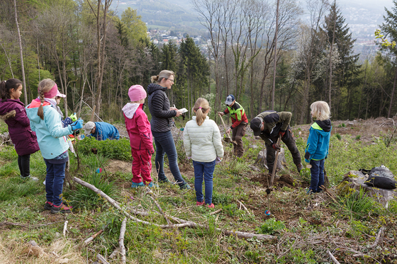 Baumpflanzung Petrinum 042022_2