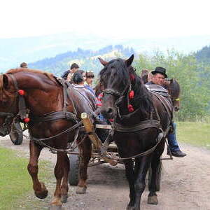 Jugendaustausch in Rumänien