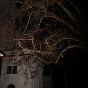 Ernennung von Pfarrer Mag. Markus Menner zum Ehrenkanonikus von Mattsee