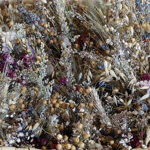 Erntedank 2016, Pfarre Neumarkt im Mühlkreis