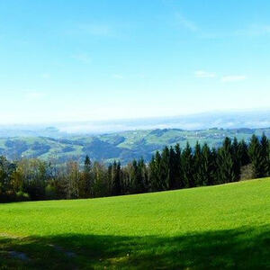 Pfarr- und Chorausflug 2014