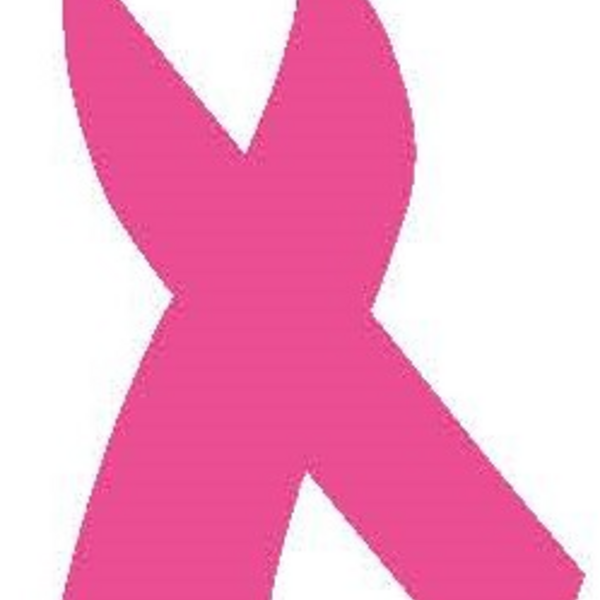 Pink Ribbon Schleife