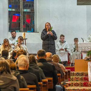 Palmsonntag Pfarre Kirchdorf an der Krems
