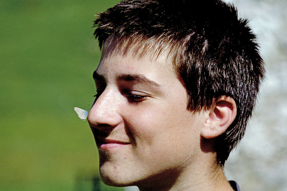 Wer hat hier wen gezähmt, fragt sich