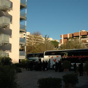 Rom - Christbaum für Papst