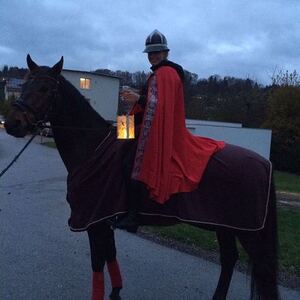 Martinsfest - Kinder tragen Licht ins Dunkel