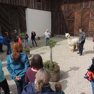 Pilgerwanderung 2022