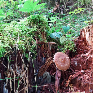 kfb Wallfahrt 2022 - 8. Oktober 