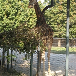 Ministrantenausflug 2008