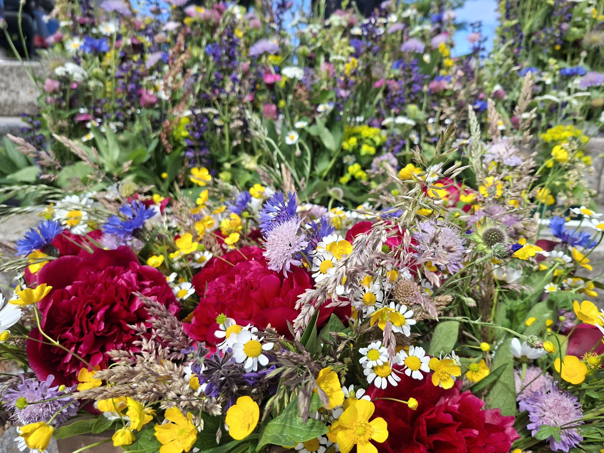 bunte Blumen