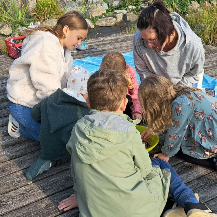 Franz von Assisi für Kinder / ©Bild für die Pfarrgemeinde Eferding/Christa Außerwöger
