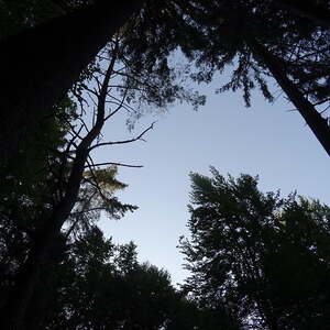 Wer sieht den Engel?                      