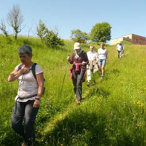 Fußwallfahrt Maria Pötsch