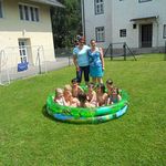 Schmetterlingsgruppe