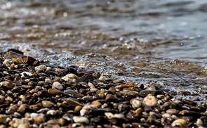 Mein Kraftplatz an der fließenden Alm