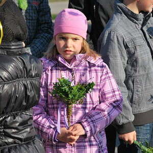 Palmsonntag