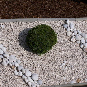 Vorplatzgestaltung Frühjahr 2011