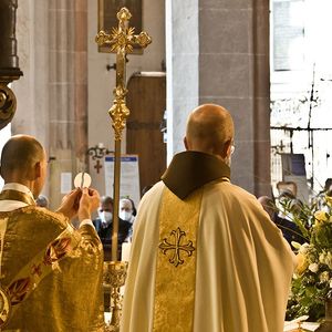 555 Jahre Stadtpfarrkirche St. Stephan